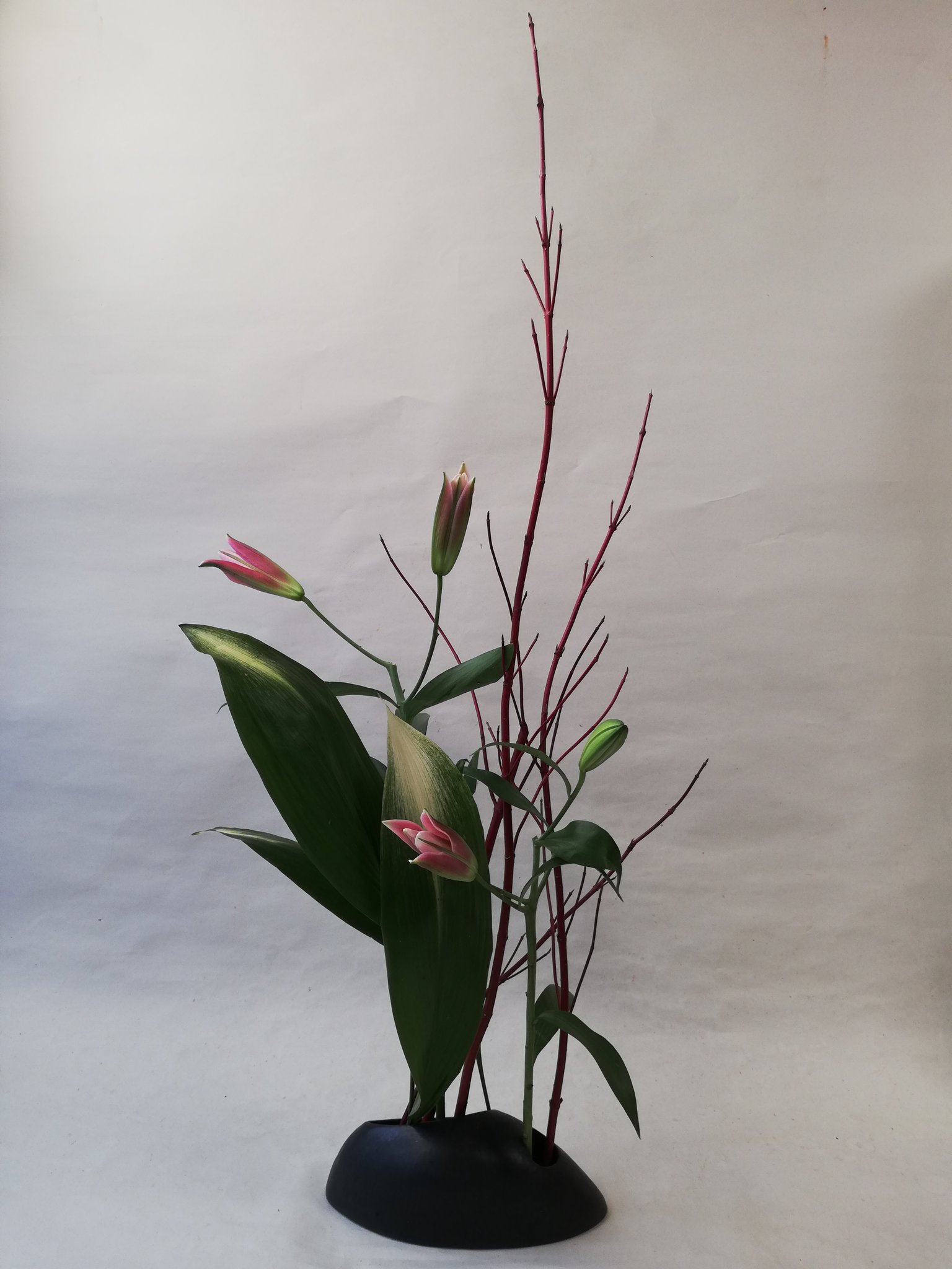 手打そばさかき 今日の生け花教室作品です 花材は 百合 サンゴミズキ 葉蘭です 帰って 金曜日からの献立考えます T Co Naz4l3txol Twitter