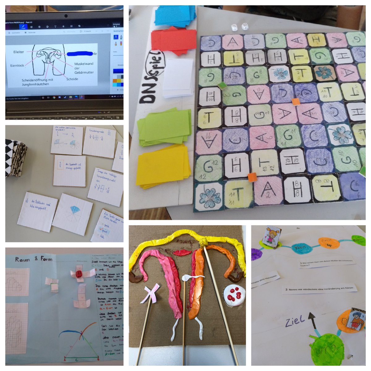 Steinschule NMS tweet media