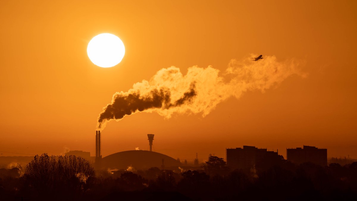 Andrew Steele tweet media