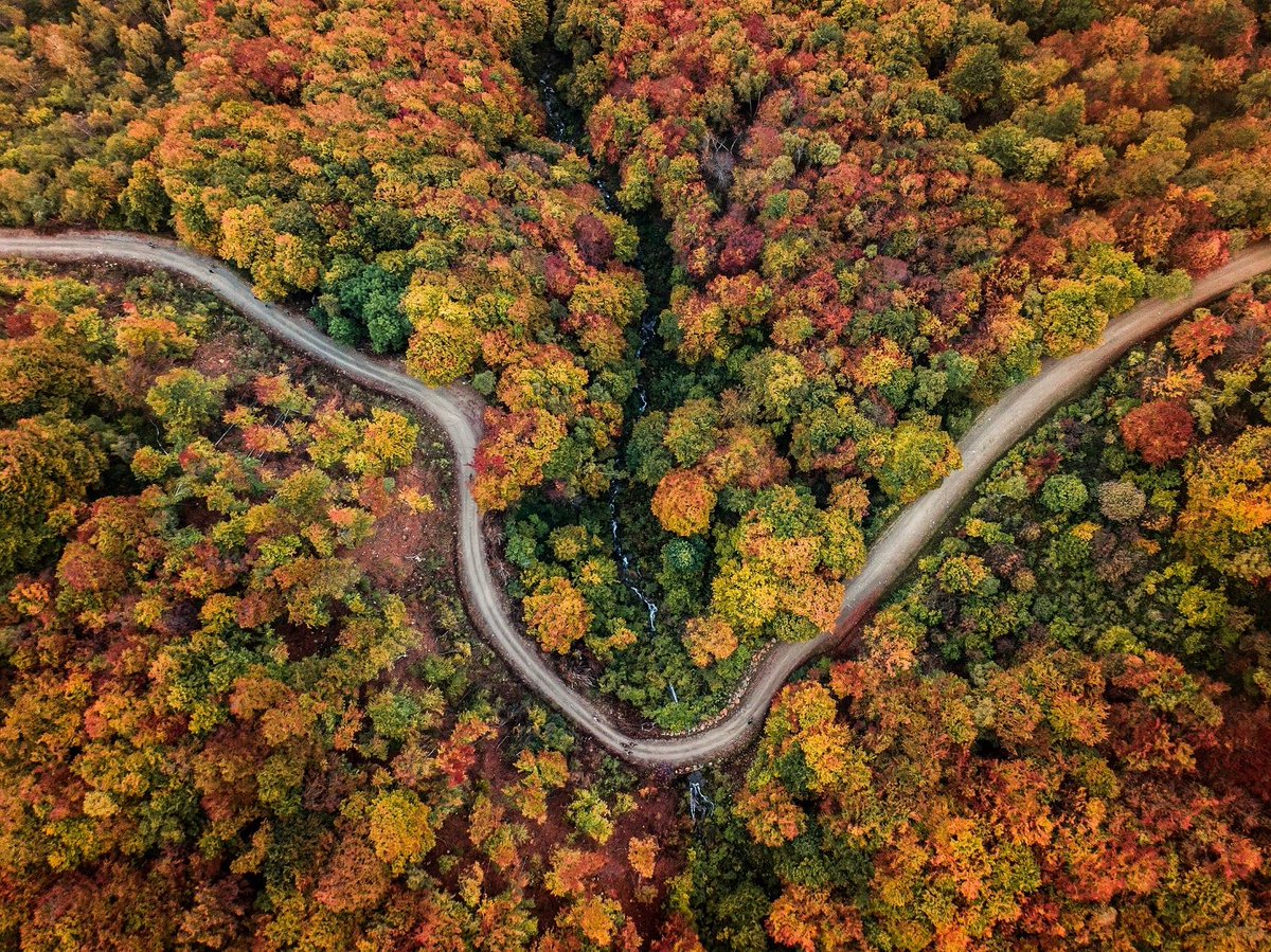 Italia's tweet image. L'autunno è magico #foliage in #Piemonte. Macchie di colore calde e avvolgenti ovunque: dalle Langhe ai boschi attraversati dal trenino Vigezzina – Centovalli nell’Alto Verbano, o nell’Oasi Zegna, e persino in città, come a Torino👉bit.ly/IlPiemontechen…
#VisitPiemonte #Foliage