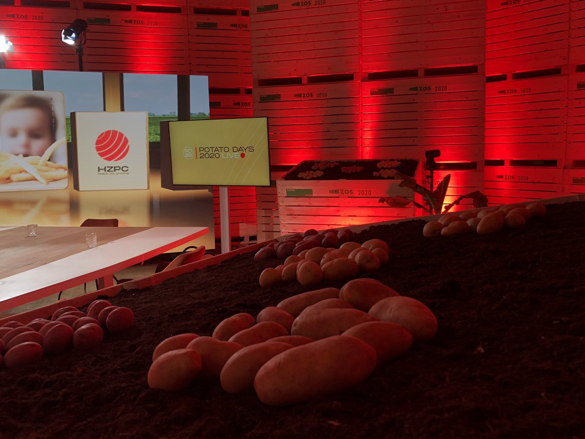 HZPC's tweet photo. We’re ready to welcome you online at 9:30 AM (CET). Our CEO, Gerard Backx, will kick-off and after that, we’re starting with the first table talk. Haven’t signed up yet? Go to https://t.co/9aSveg85Tq &amp; register and you will receive your personal link!

#PotatoDays #PD20 #HZPC https://t.co/PNpwboJR9v