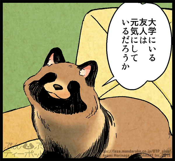【?明日更新です】

「ぶんぶくティーポット+」は隔週木曜お昼の12時頃に更新されます?

お兄ちゃんに、大学にいる友人が⁉️
お楽しみに?

「ぶんぶくティーポット+」https://t.co/wo7P4jU6ob

#BTP_plus #ぶんぶく #タヌキ #たぬき #森長あやみ 