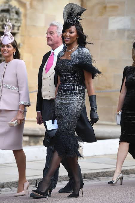Naomi Campbell is looking fierce in her prickly dogfish (Oxynotus bruniensis) inspired Royal Wedding look. This deepwater critter had a unique humpback body shark and is pretty darn cute.: Getty