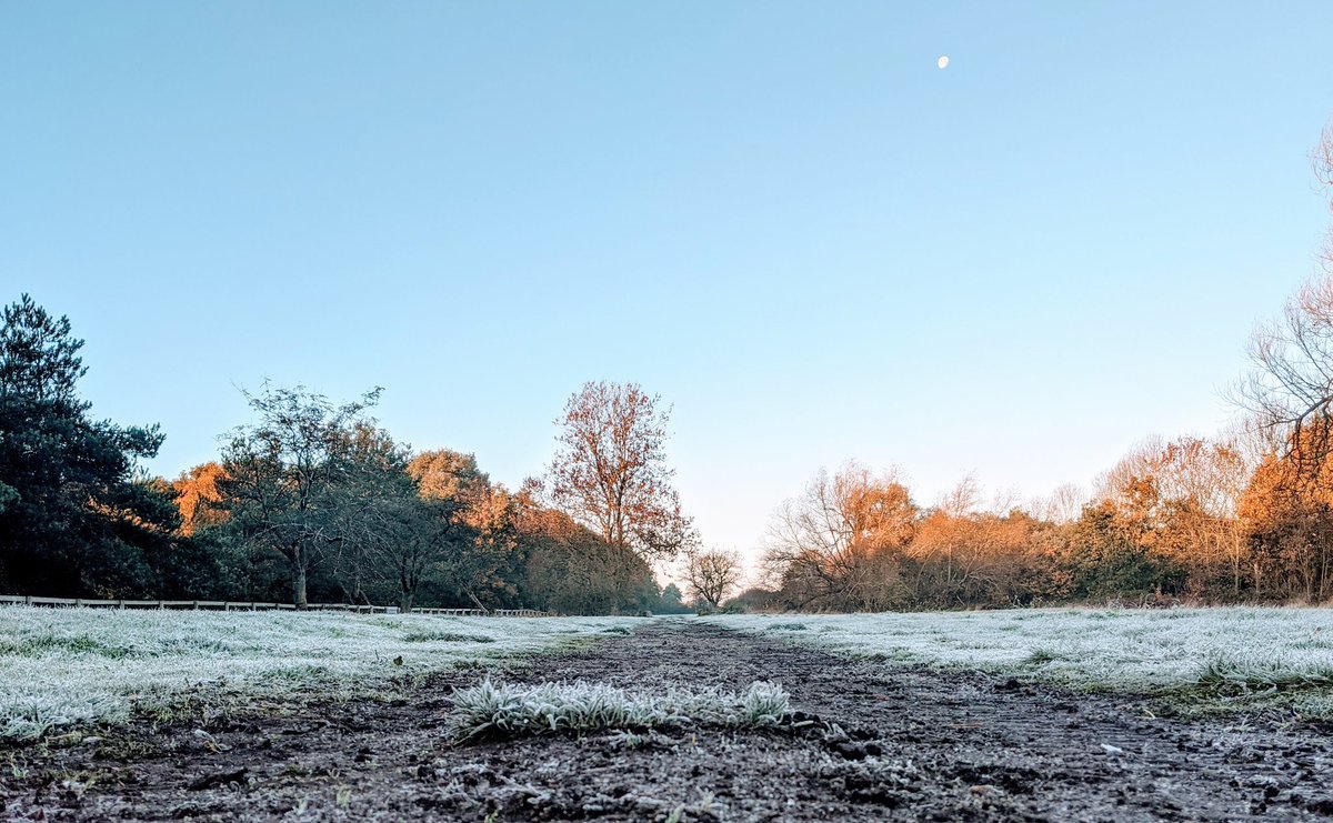 MVWoodlandWalk's tweet photo. The early bird catches the worm...🐛🐦

After waking up to the first frost of #Autumn, we couldn't resist a visit to the woods. Safe to say, it didn't disappoint! 😍

#SaveMeonWoods ❄️🌳❄️ https://t.co/aCPV6MvwYX