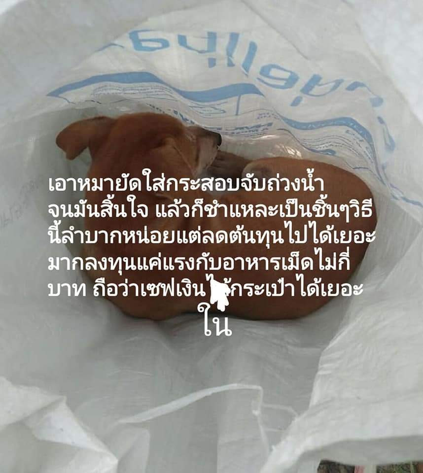 Nukse_za_za tweet picture