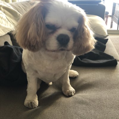 RoxaneMacInnis's tweet photo. #NewProfilePic https://t.co/buKaYQJd0m