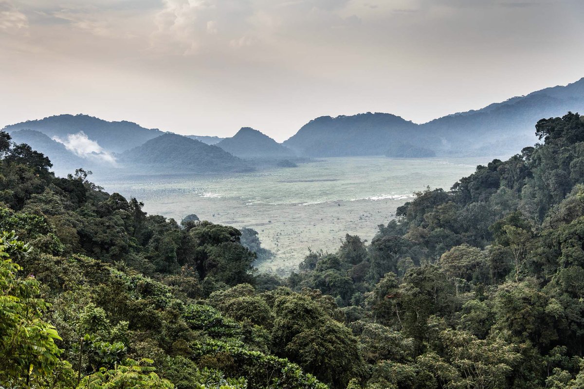 African Parks tweet media