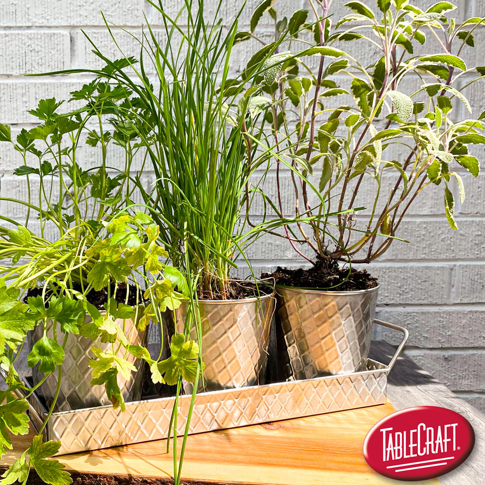 tablecraftEU's tweet image. Donna used her green thumb and put a new spin on our NEW Lattice Collection trio of pots (10488 and 10487) for our TableCraft Outside the Box post: ow.ly/X6ab50C3HcY

#TableCraftOutsidetheBox
#TableTalk
#LatticeCollection
#HerbPots