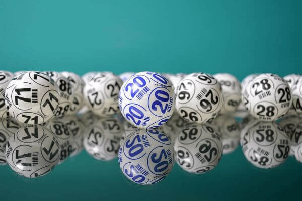 MoonBingo's tweet photo. Bingo Lingo: A Full House of Terms &amp; Phrases
#Bingo, #OnlineBingo

https://t.co/eBDwIkZHyO https://t.co/hemgWn88xM