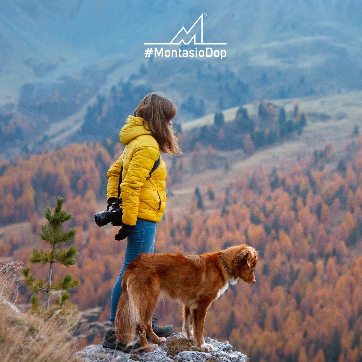 Hai mai sentito parlare dell’#Hiking? Si tratta di un’attività che prevede “escursioni all’aria aperta".
Il #Friuli è ricco di luoghi molto affascinanti perfetti per questa pratica sportiva, uno di questi è l’Altopiano del #Montasio. Per saperne di più: bit.ly/34nfab1