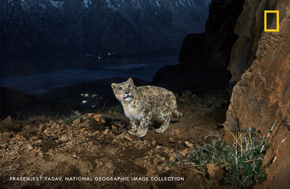 National Geographic tweet media