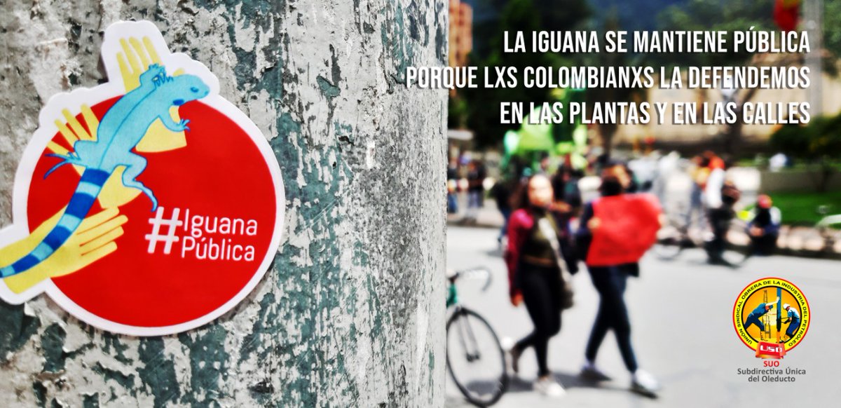 USO-OLEODUCTOS tweet media