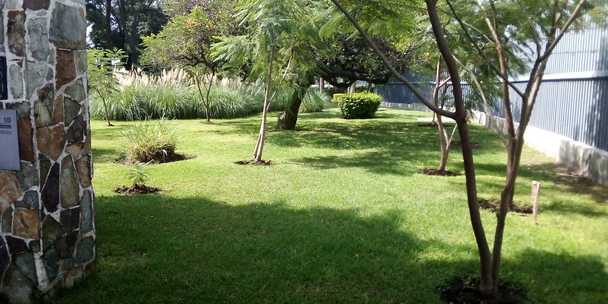 AlianzaEcoGto's tweet image. Es correcto, aquí exactamente