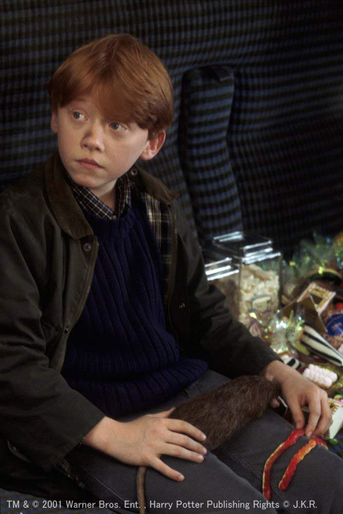 アンク 金曜ロードショー公式 ロン 役の ルパート グリント さんは ５人兄弟の長男 本格的な演技の経験はなかったものの ロン役を演じるにあたり 大家族で暮らすということを身を持って知っているから と自信を見せていたそうです 続く T