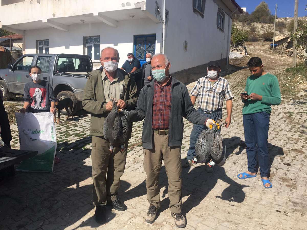 CankiriDKMP's tweet photo. İlimizde 2020 Yılında KKKA vakası görülen Çerkeş İlçesi Şeyhdoğan ve Ilgaz İlçesi Başdibek Köylerinde toplam 80 aileye 160 adet Beç Tavuğu dağıtımı gerçekleştirilmiştir. https://t.co/HfxrgZV2hl