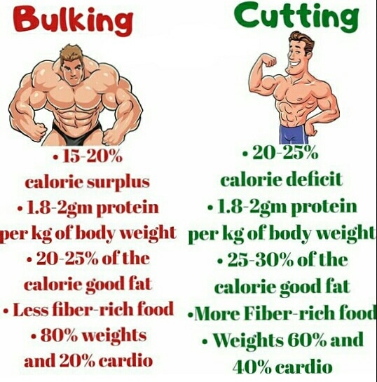 bulking and cutting do i do it