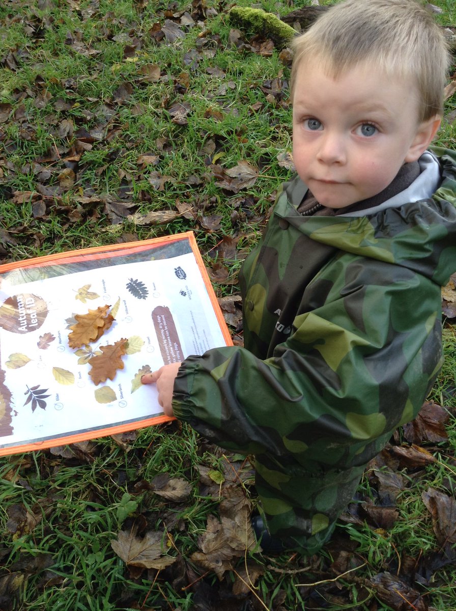 rhunahaorine's tweet image. ELC explore the woodland today #abplace2be #autumn #leafid #naturedetectives #exploration #earlyyears