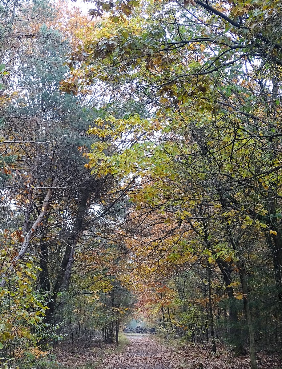Docus de Das wandelroute Schijk - Heesch🚶‍♀️🚶 ruim 10 km