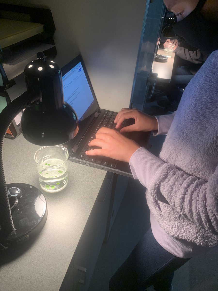 jkorcienski's tweet photo. @NETeamExplorers just having a little fun with photosynthesis in science class. Students timed the rate of oxygen being made in the spinach leaf disks when added to water containing sodium bicarbonate. Great success for our hybrid learners. @BASDnortheast https://t.co/thR2oBYX2O