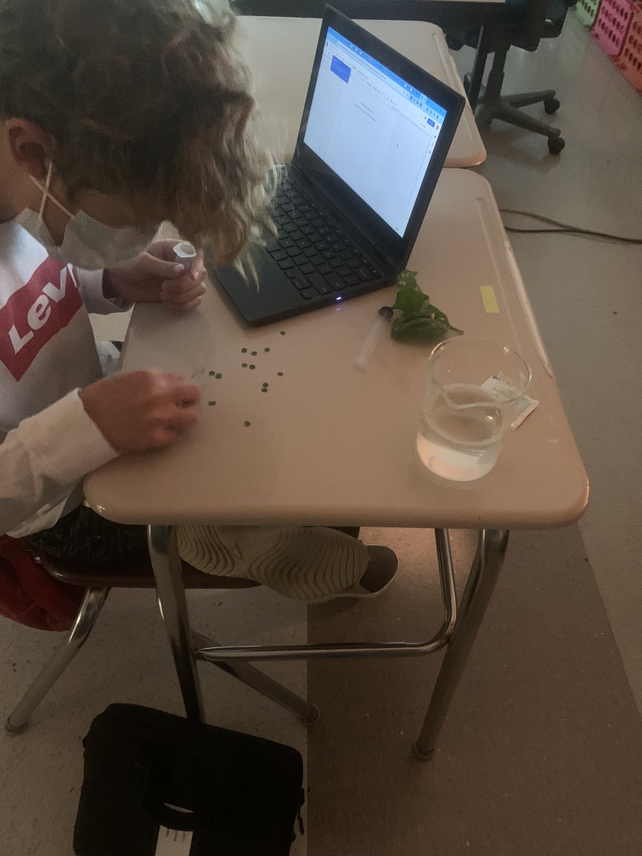 jkorcienski's tweet photo. @NETeamExplorers just having a little fun with photosynthesis in science class. Students timed the rate of oxygen being made in the spinach leaf disks when added to water containing sodium bicarbonate. Great success for our hybrid learners. @BASDnortheast https://t.co/thR2oBYX2O
