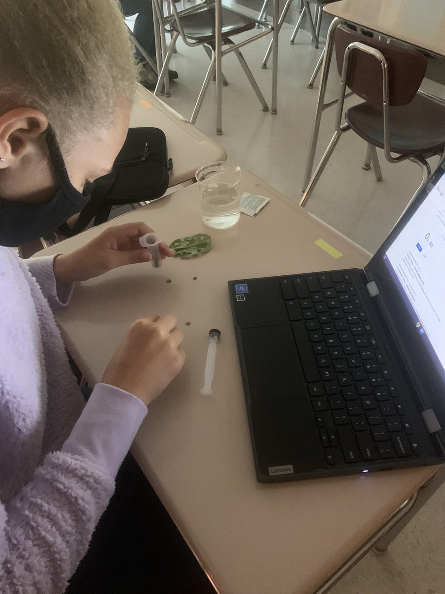 jkorcienski's tweet photo. @NETeamExplorers just having a little fun with photosynthesis in science class. Students timed the rate of oxygen being made in the spinach leaf disks when added to water containing sodium bicarbonate. Great success for our hybrid learners. @BASDnortheast https://t.co/thR2oBYX2O