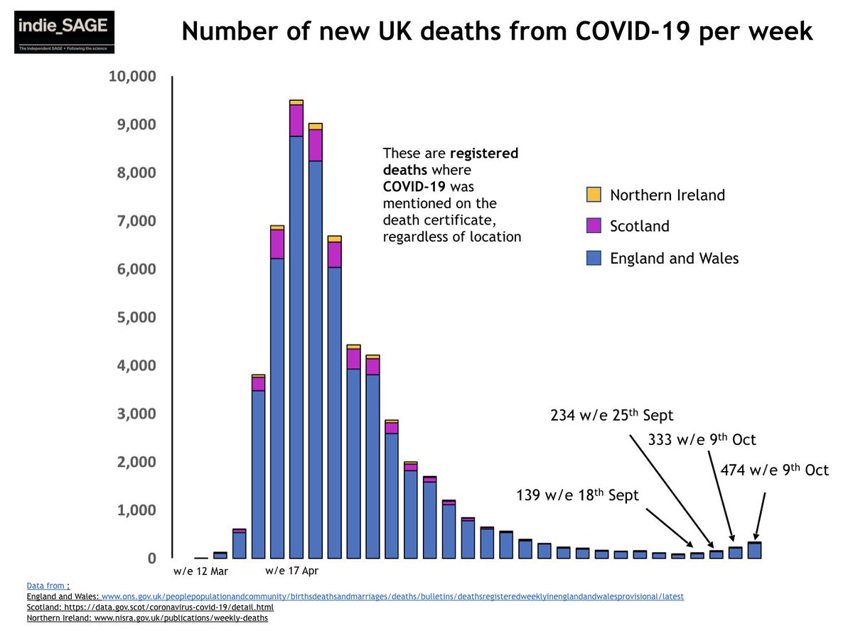 Every 2 weeks the number of deaths is roughly doubling