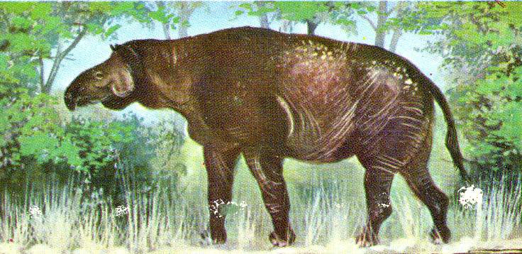 Ranaroth2's tweet photo. Baluchitherium. Now known as Paraceratherium. Early Oligocene 34–23 million years. Member of the rhinoceros family. Art by Maurice Wilson. #cigarettecard #MauriceWilson #Baluchitherium #Paraceratherium #rhinoceros https://t.co/dISsDY0hsH