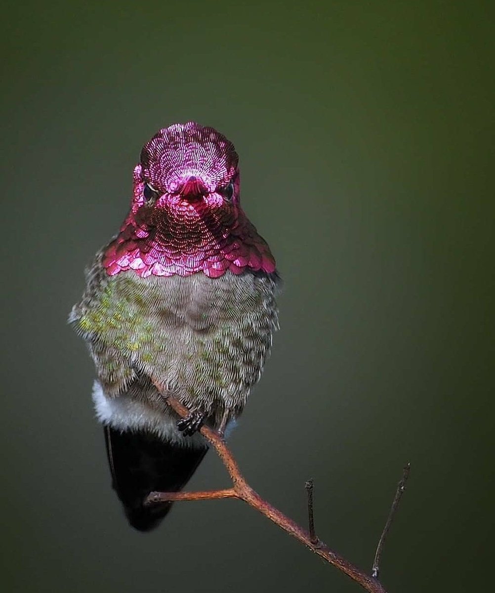 The Nature (@deepsoulnature) on Twitter photo 