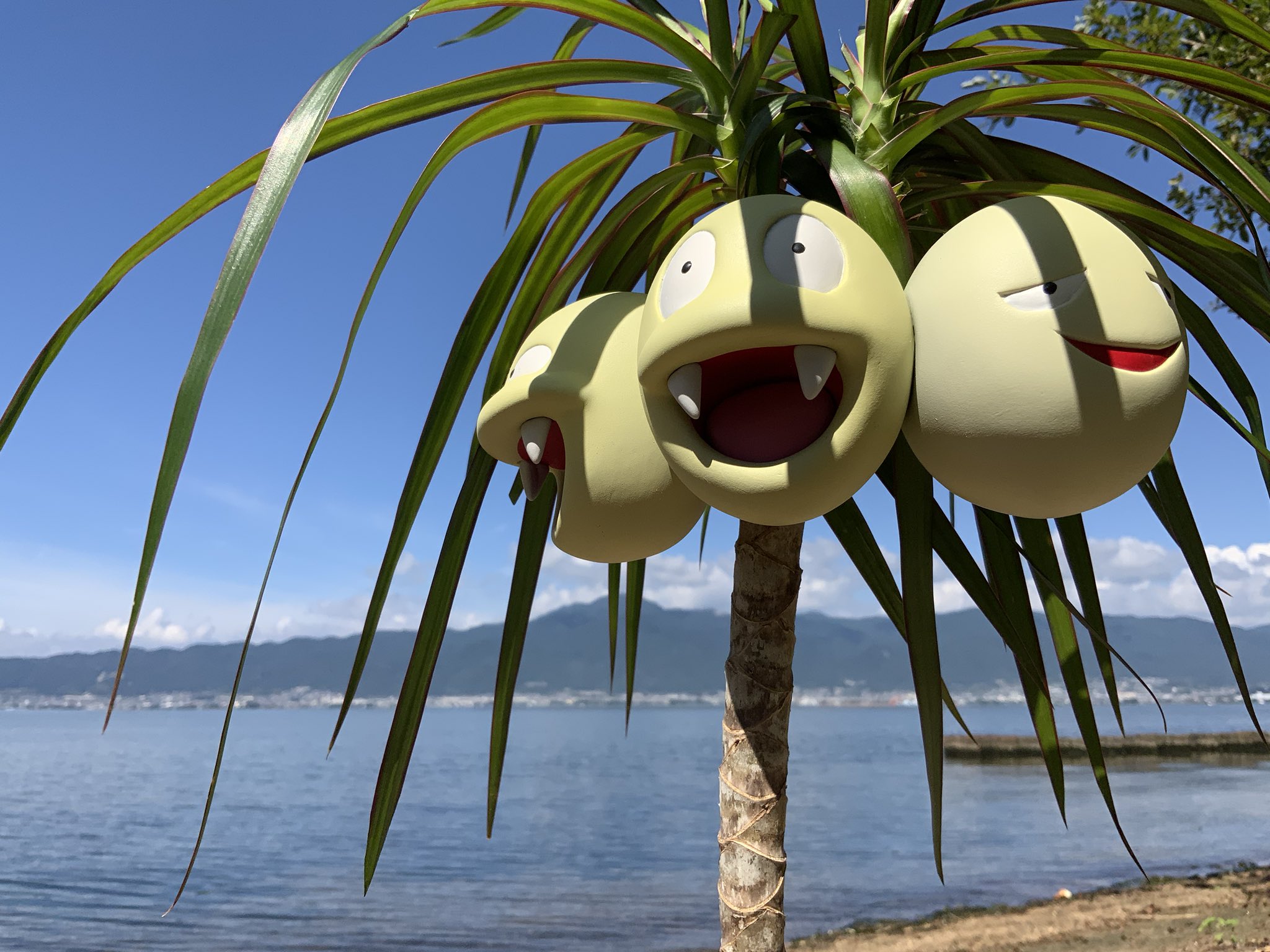 ポケモンだいすきクラブ編集部 公式 速報 宮崎県庁からお届けします ナッシーが 宮崎だいすきポケモン に就任 九州地方では初となる連携 協力協定を締結しました 今後の活躍にご注目くださ い T Co Xjrfoarjnc ポケモン