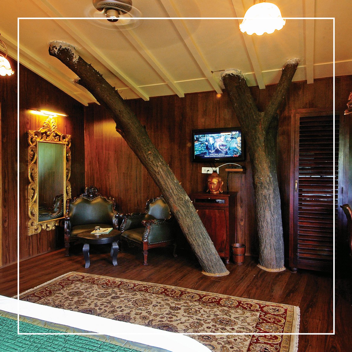 Vacationalist's tweet photo. Do u believe in fairy tales? If yes, then your love for a tree house will never be lost.
DM us now to book your stay.                                                                                                               Picture Curtsey: @Treehouseresort #thevacationalist https://t.co/t0FXSPQRo5