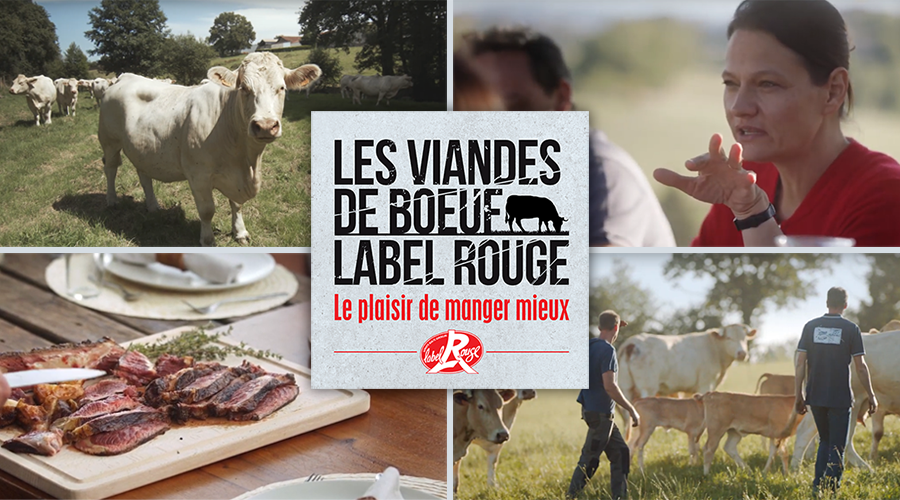 Les Viandes de #Boeuf #LabelRouge sont de retour : retrouvez Emmanuelle Jary aux côtés d'#éleveurs engagés à vous faire (re)découvrir le plaisir de #MieuxManger !
En attendant les épisodes, devenez incollables sur ces viandes au goût incomparable 👉 la-viande.fr/cuisine-achat/…