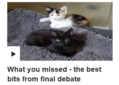 vikkimaps's tweet photo. The best thing I did at the start of this Presidency was install a Chrome extension which changes every photo of Trump into a kitten. So instead of smug faces on my news reel I get gems like this. Makes life so much easier.
#MakeAmericaKittensAgain #CatsOfTwitter #Election2020 https://t.co/mzFvfIx316