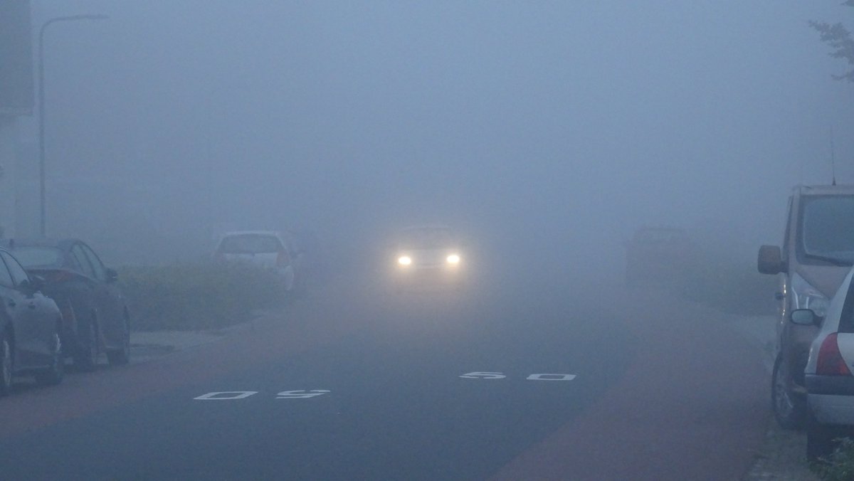 BjT_weer's tweet photo. Goedemorgen
@Weerplaza @weeronline @Talpaweer @BuienRadarNL @weerenradar_nl @marjondehond @whoebert @onwukaa @nicolienkroon @lauravanderblij @helgavanleur @MarcdeJongRTL @weermanrobert @EdAldus
Een mistige start vanochtend in #Heerenveen De #Knipe #Friesland #Mist #Herfst https://t.co/PelRXzSHvB