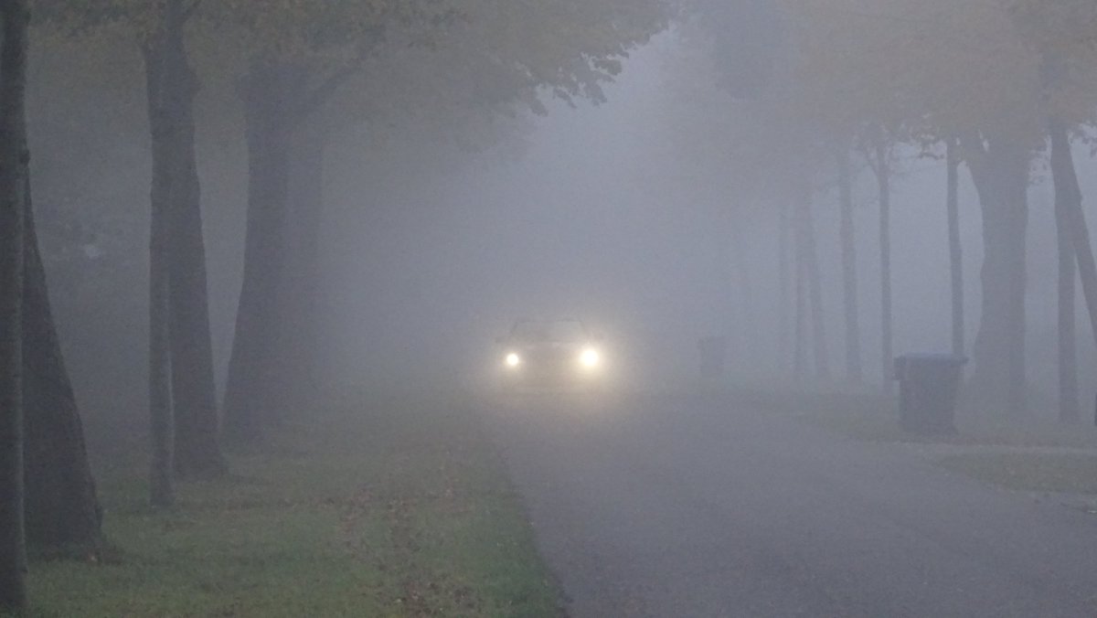 BjT_weer's tweet photo. Goedemorgen
@Weerplaza @weeronline @Talpaweer @BuienRadarNL @weerenradar_nl @marjondehond @whoebert @onwukaa @nicolienkroon @lauravanderblij @helgavanleur @MarcdeJongRTL @weermanrobert @EdAldus
Een mistige start vanochtend in #Heerenveen De #Knipe #Friesland #Mist #Herfst https://t.co/PelRXzSHvB