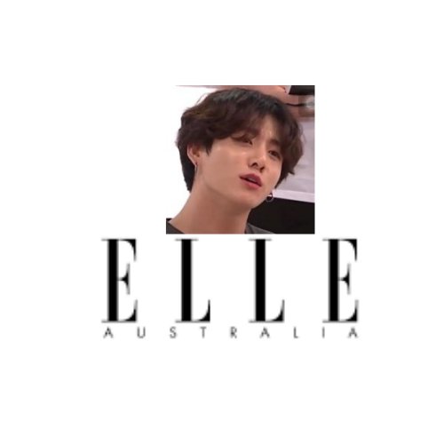 elle memes