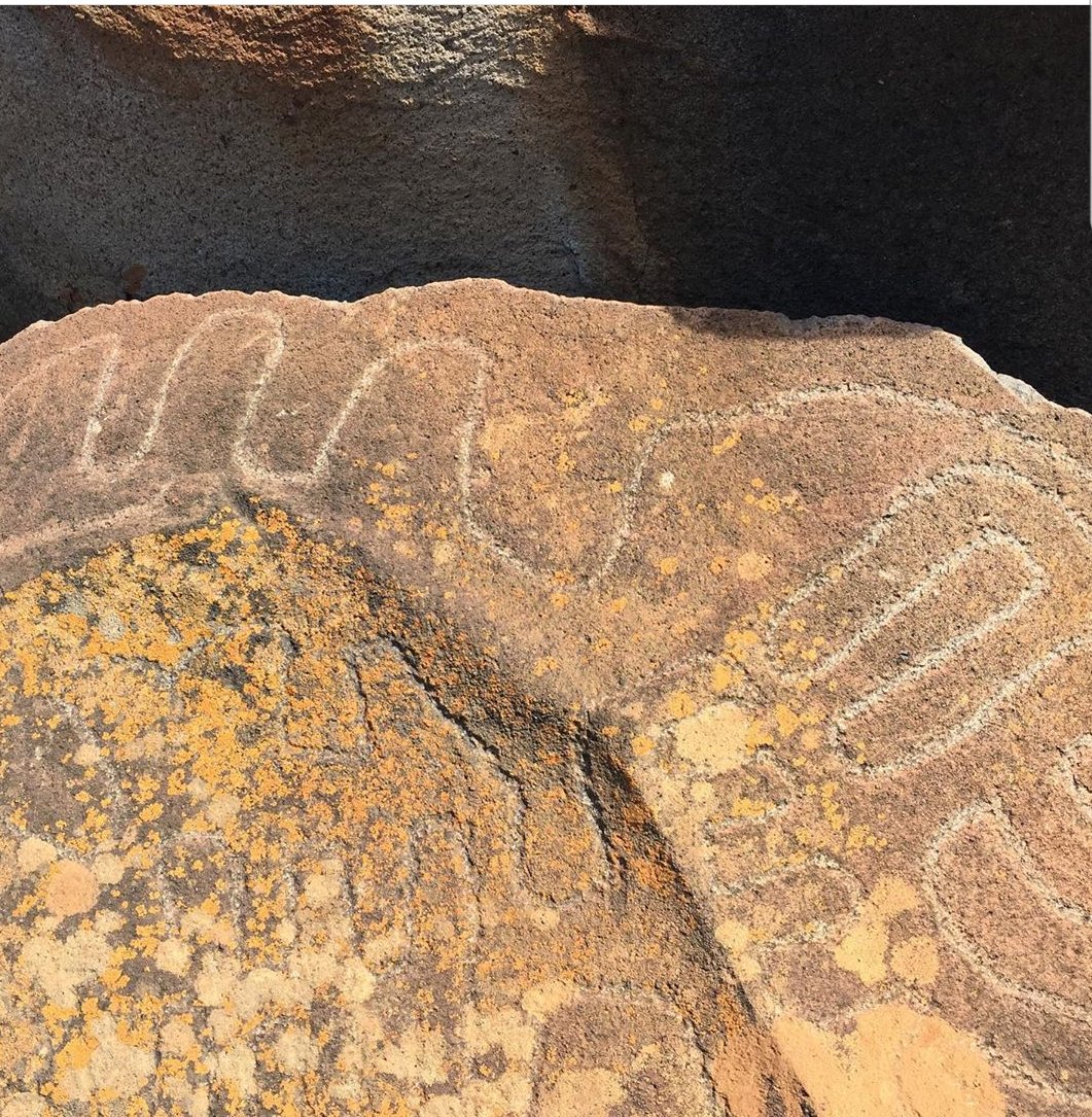 cienciacanaria's tweet photo. Estas #SCIC20 puedes participar, desde cualquier isla, en charlas #online sobre naturaleza, ciencia y patrimonio en las V Jornadas divulgativas #BIOSFERA, y si estás en #LaPalma apuntarte además a rutas presenciales arqueológicas y etnográficas https://t.co/3Y8MyRXw5c https://t.co/QvqbhqlyEd