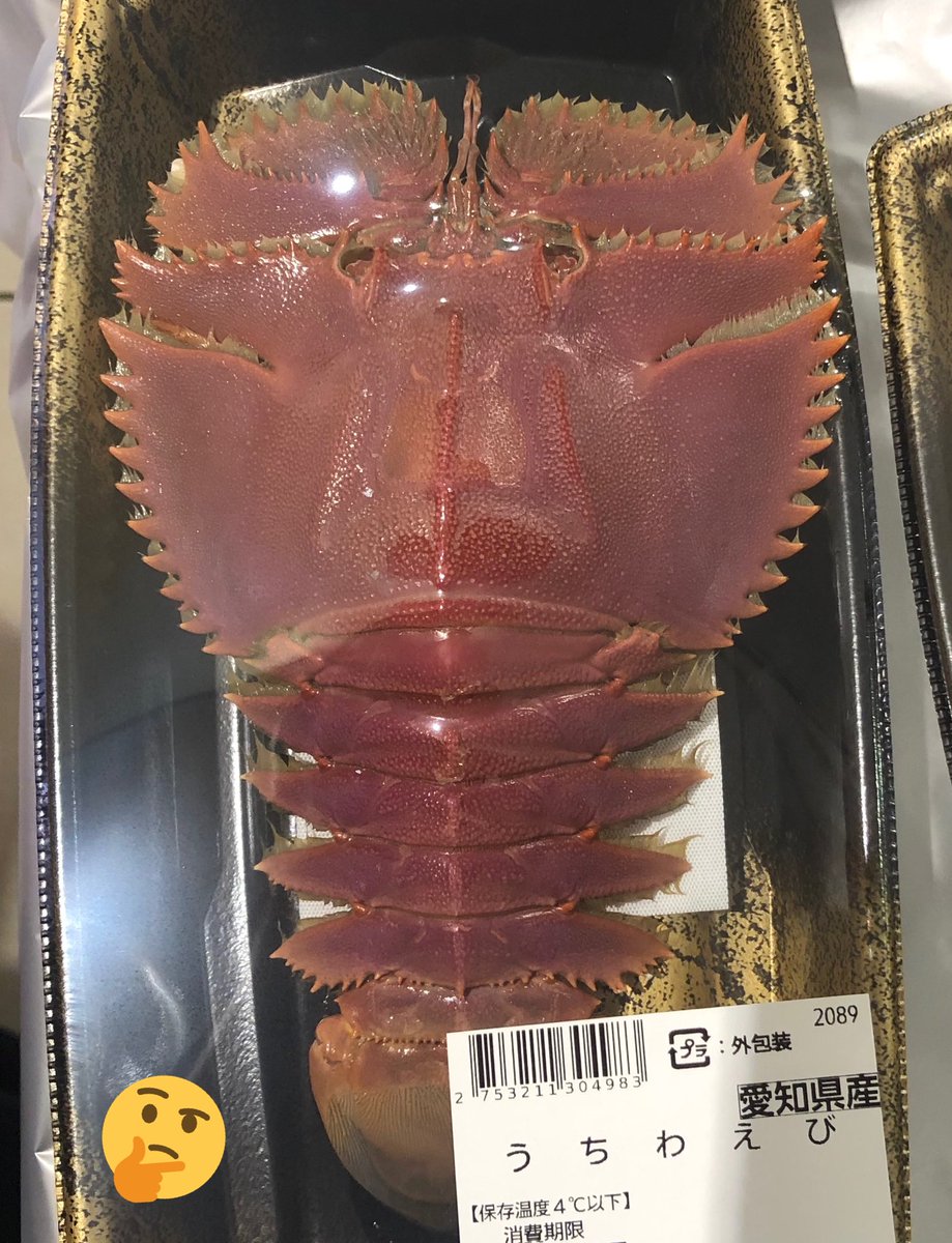 うちわえび うちわえび