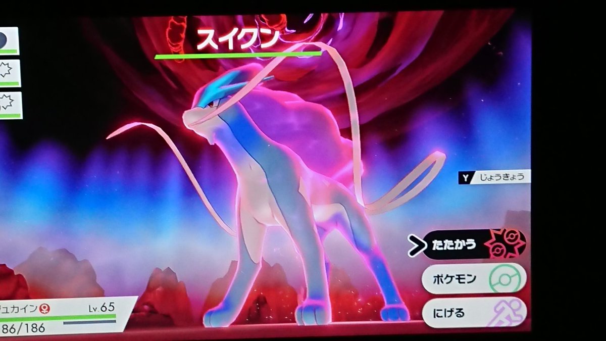 スイクン の感情分析 Nyakone