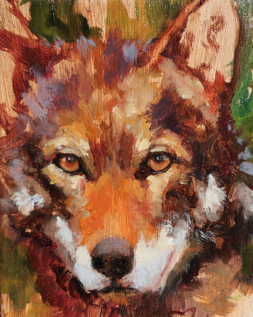 aikio_joni's tweet photo. Pieni susi. 13x18 cm. Öljyt. Myyty.

Miltä näyttää?

#fineart #aikio_art #joniaikio #wolf #susi  #spiritanimal #oilpainting https://t.co/OIbsq9sTyh