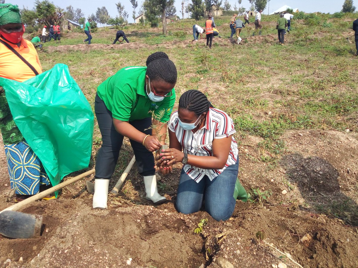NyanzaDistrict's tweet photo. Minisitiri w'Ibidukikije @MujaJeanne ari mu Karere ka Nyanza, Umurenge wa Muyira ahari gutangirizwa ku rwego rw'Igihugu igihembwe cyo gutera amashyamba 2020/2021 no kwizihiza ku nshuro ya 45 umunsi mpuzamahanga wo gutera amashyamba. @REMA_Rwanda https://t.co/u4WQ0lgeND