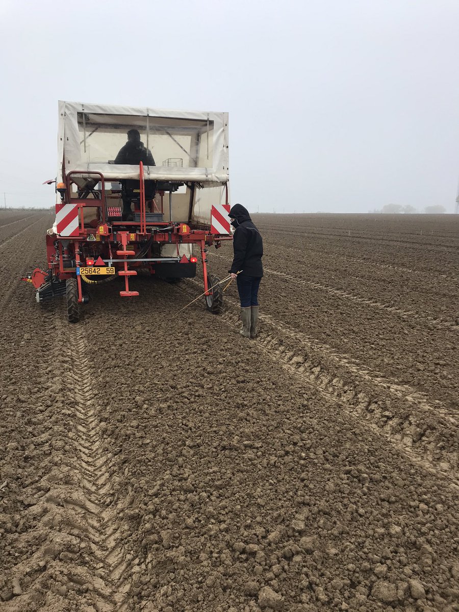 Semis des pépinières : dispositif pour évaluer les jeunes générations de sélection. Merci au GPS, car avec ce brouillard nous serions pas aussi efficace 💪🤩 #Blé 🌾#@GroupeFDesprez