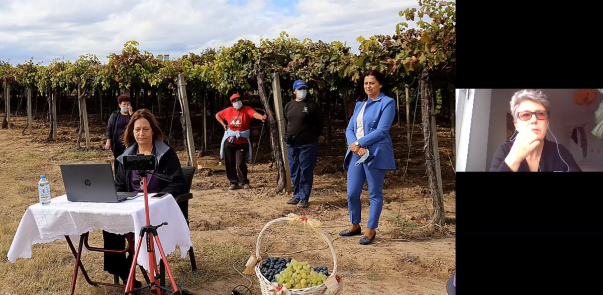 New solutions to stay in touch during the pandemic.