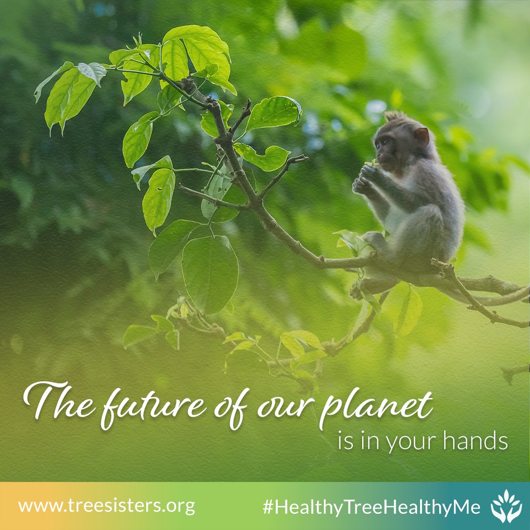 SustWomen's tweet photo. On the 27th October join the @treesisters live panel with visionary experts exploring how the health of our planet is the key to human health
Sign up here: https://t.co/cgWwnMJep9
#HealthyTreeHealthyMe https://t.co/z5adeL1Cym