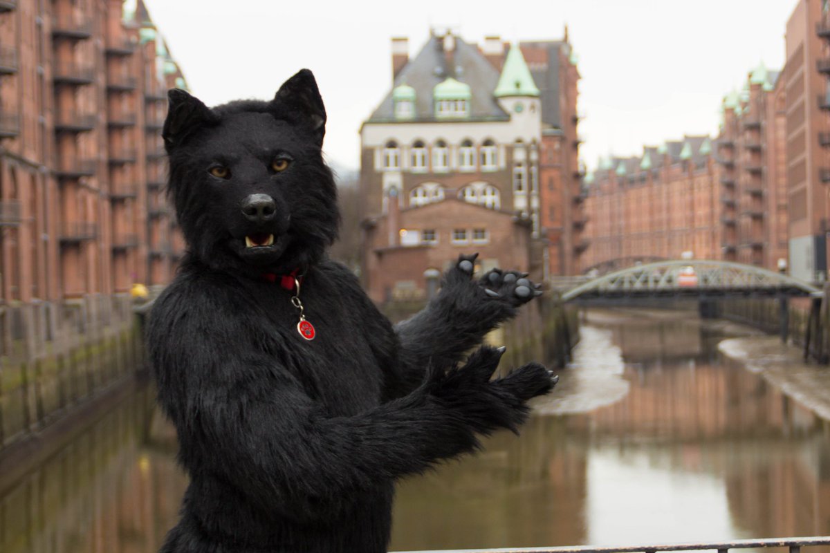 BerkWolf's tweet photo. Happy #FursuitFriday
βοΈ @Sharpecostumes
πΈ @LunosWolf
π 24.03.2018
π¨ #Speicherstadt
π #Hamburg π©πͺ
π¦ #NFD 8 Pre #Fursuitwalk
π© @nordic_furdance
#NFD8 #NFD2018 #VzFaK #Nordic #Furdance #Furry #Fursuit #Sharpe19
@FursuitersWorld
Video Project 2020-2022:
πΉ @furryfreestyle https://t.co/nvBYTZoDld