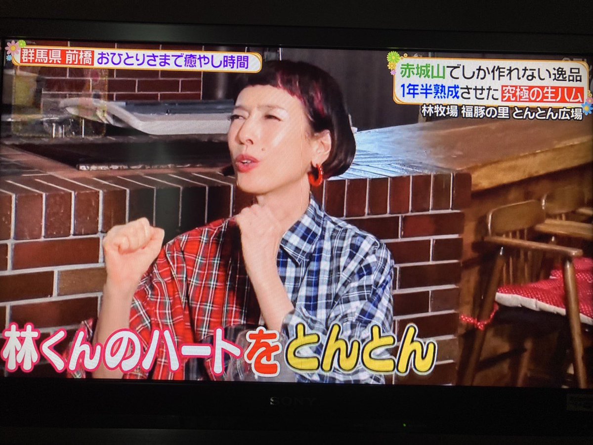 とんとん広場 京都駅近くにとんかつ屋 ふくいく さんがオープンしました とんとんの 福豚 をしようしてくれてます 私も行ってみたいです 本日ヒルナンデスにて久本雅美さんが 福豚とんかつ を満喫してくれました とんとん ふくいく