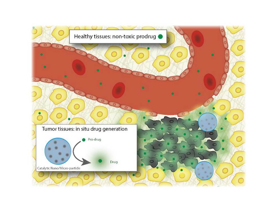 theracatEU's tweet photo. @theracatEU is based on innovative THERApeutic CATalysts science (1/2): materials bearing a catalytic unit are delivered to the #tumor and afterwards non-active prodrugs are administered to the patient and become active only in the sites where the catalytic units are functional https://t.co/cTNYnJX7SV