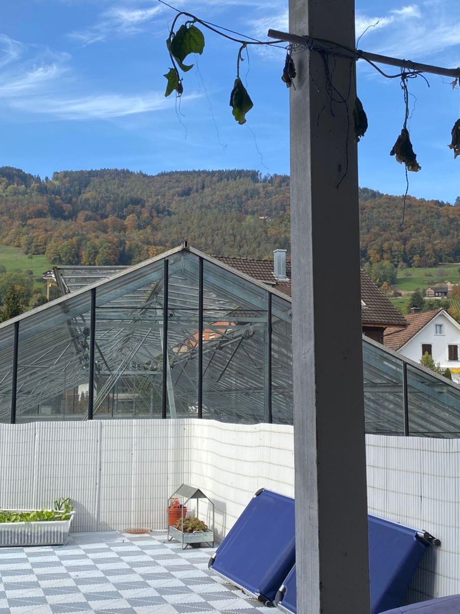 JULLinderStadt's tweet photo. Arzije, 9445: weit weg vom Lärm der Grossstadt. Nur mein Mami und ich. Ich öffne die Türe und blicke auf die sehnlichst vermissten Berge. Eine Heimat, die sich nie wie eine angefühlt hatte, gibt mir heute Ruhe und Frieden wenn ich mich verkriechen möchte.
#jullneverwritealone https://t.co/5bgXnXP5Tz