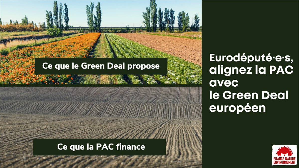 📦🦋 France Nature Environnement (@fneasso) on Twitter photo Mesdames et Messieurs les eurodéputé·e·s <a href="/Europarl_FR/">Parlement européen en France</a>, nous vous demandons de rejeter la réforme de la #PAC soumise à votre vote : une réécriture est nécessaire pour engager l'#agriculture 🇪🇺 dans la #transition agroécologique. #VoteThisCAPdown 🚜🌾
@pouruneautrepac <a href="/Green_Europe/">European Environmental Bureau</a> Mesdames et Messieurs les eurodéputé·e·s <a href="/Europarl_FR/">Parlement européen en France</a>, nous vous demandons de rejeter la réforme de la #PAC soumise à votre vote : une réécriture est nécessaire pour engager l'#agriculture 🇪🇺 dans la #transition agroécologique. #VoteThisCAPdown 🚜🌾
@pouruneautrepac <a href="/Green_Europe/">European Environmental Bureau</a>