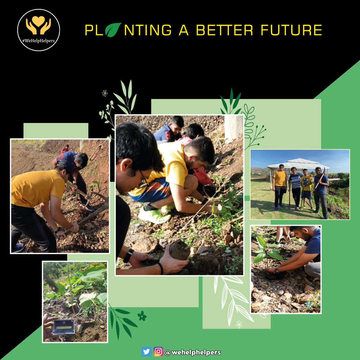 wehelphelpers's tweet image. we are here again , planting for the people, to purify their surroundings ! In this world where humans cut down trees and plants,be one that nurtures a plant ! We help helpers planted 17 plants on behalf of donations received above 500 to us,making a total of 55 since we started.