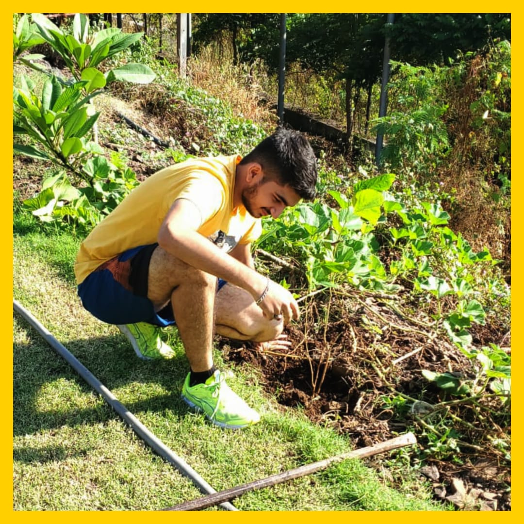 wehelphelpers's tweet image. we are here again , planting for the people, to purify their surroundings ! In this world where humans cut down trees and plants,be one that nurtures a plant ! We help helpers planted 17 plants on behalf of donations received above 500 to us,making a total of 55 since we started.